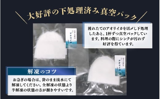 《-60℃で急速冷凍》若狭アオリイカ 刺身用1~4枚 (合計150g) 下処理済みだからシンクも汚れず大好評![m17-a066]