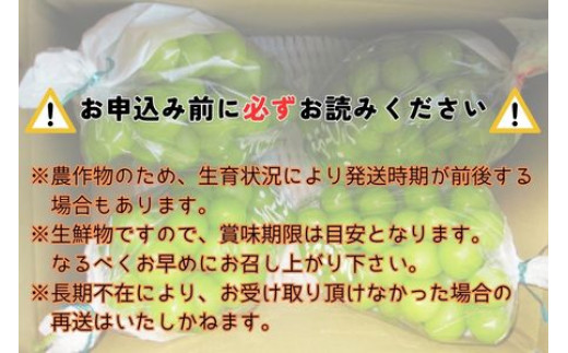 【南信州高森産】シャインマスカット 4房