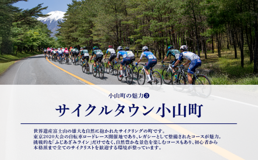 手染め富士山飾り３点セット