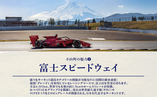 手染め富士山飾り３点セット