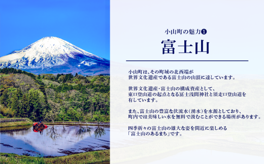 手染め富士山飾り３点セット