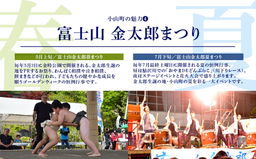 手染め富士山飾り３点セット