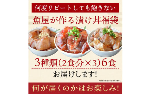 漬け丼 3種×2パック 計6食セット 冷凍 真空パック 小分け 海鮮丼 海鮮セット 詰め合わせ 旬の鮮魚 ハマチ カンパチ カツオ 鯖 サバ ヒラマサ 平政 マグロ アジ ヒラメ 鯛 漬け づけ丼