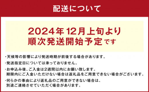 “熟成” 茨城県産 神栖市産 さつまいも 【 紅はるか 】 約10kg