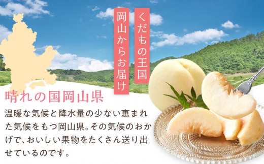 桃 2025年 先行予約 岡山 白桃 5～6玉入 約1.5kg 岡山市一宮地区産 もも モモ フルーツ 果物 ギフト