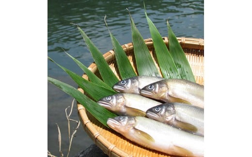 MN-01　料亭の鮎の甘露煮と地元産山菜佃煮セットA