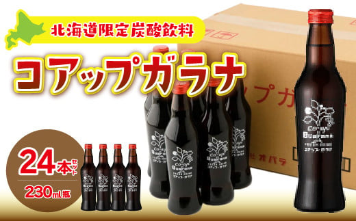 コアップガラナ24本セット（230ml瓶） ふるさと納税 人気 おすすめ ランキング コアップガラナ ガラナ 道産子ソウルドリンク 北海道代表 ご当地 北海道 七飯町 送料無料 NAQ004