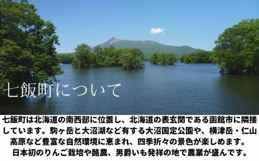 コアップガラナ24本セット（230ml瓶） ふるさと納税 人気 おすすめ ランキング コアップガラナ ガラナ 道産子ソウルドリンク 北海道代表 ご当地 北海道 七飯町 送料無料 NAQ004