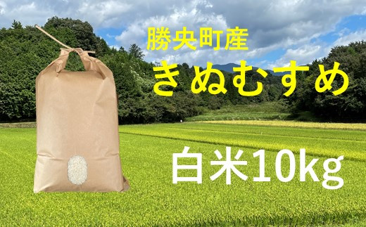 「きぬむすめ白米10kg」