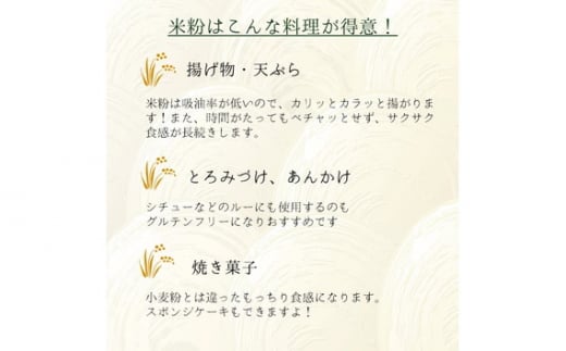 No.491 米粉パウダー（300g×12セット） ／ 国産米 料理 揚げ物 天ぷら 焼き菓子 とろみづけ あんかけ 埼玉県