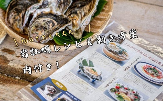 【知夫里島産 岩牡蠣 2kg（殻剥き道具セット付）】ブランド 隠岐 岩牡蠣 生食可 牡蛎 牡蠣 かき カキ 岩牡蠣 いわがき 海鮮 海産物 海の幸 シーフード 魚貝類 父の日 母の日 バーベキュー ギフト 濃厚 クリーミー 