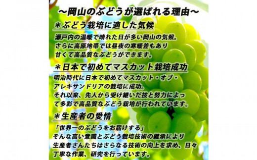 ぶどう 2025年 先行予約 受付 シャインマスカット【 晴王 】【 9月発送分 】1房（約650g）秀品 【配送不可：離島】