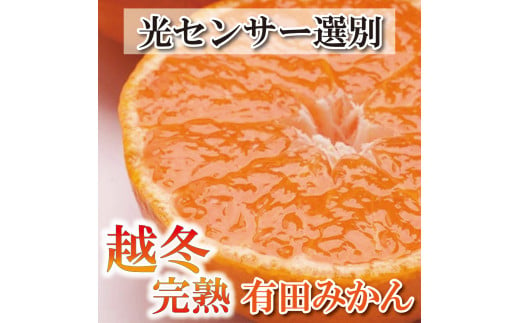 ＜先行予約＞家庭用 越冬完熟みかん2kg+60g（傷み補償分）【ハウスみかん】【わけあり・訳あり】【光センサー選果】※北海道・沖縄・離島への配送不可【ikd158】