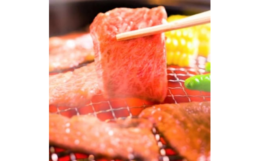 2023年9月発送開始『定期便』博多和牛焼き肉用 500g(水巻町)全3回【5155002】