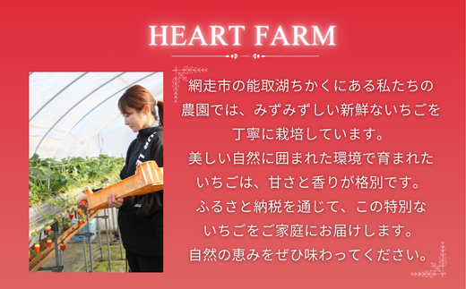 Heartfarm こだわりいちごシロップとジャムセット（計6本） 【 ふるさと納税 人気 おすすめ ランキング いちご イチゴ いちごジャム イチゴジャム ジャム いちごシロップ イチゴシロップ シロップ 苺ジャム 苺シロップ 苺 果肉 お土産 贈り物 贈答 プレゼント ギフト オホーツク 北海道 網走市 送料無料 】 ABBA002