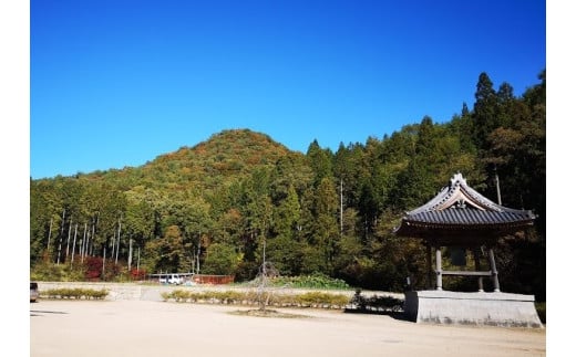 自然飼育の有精卵「光信寺卵」30個×6カ月定期便