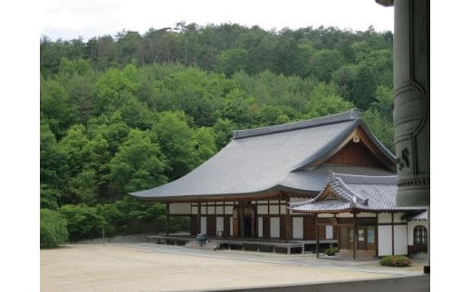 自然飼育の有精卵「光信寺卵」30個×6カ月定期便