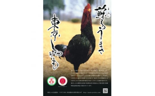 ＜よみがえる江戸の味＞東京しゃも　もも肉・むね肉　スライス　1kg(500g×2)　(浅野養鶏場)【1429795】