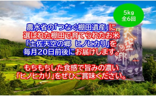 農林水産省の「つなぐ棚田遺産」に選ばれた棚田で育てられた土佐天空の郷 ヒノヒカリ 5kg定期便  毎月お届け 全6回