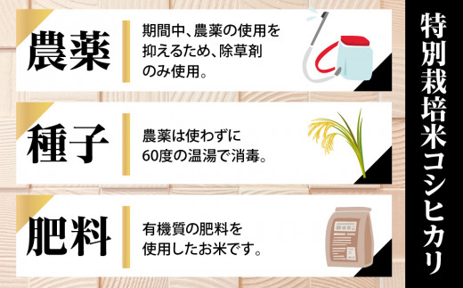 新米【定期便】6ヶ月連続お届け「令和六年産」特別栽培米 コシヒカリ 5kg 定期便 お米 コシヒカリ 6ヶ月お届け 新米 米 お米 コメ こめ 精米 ライス 白米 炭水化物 ご飯 主食 食卓 おにぎり お弁当 茨城県産