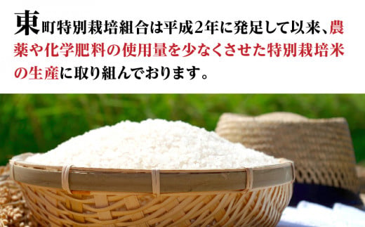 新米【定期便】6ヶ月連続お届け「令和六年産」特別栽培米 コシヒカリ 5kg 定期便 お米 コシヒカリ 6ヶ月お届け 新米 米 お米 コメ こめ 精米 ライス 白米 炭水化物 ご飯 主食 食卓 おにぎり お弁当 茨城県産