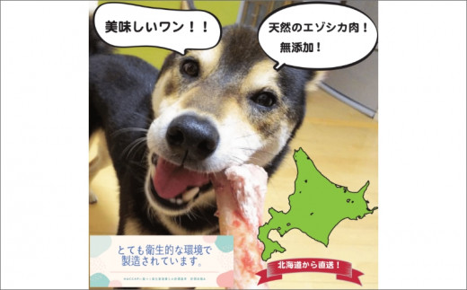 エゾシカミンチ 500g×2パック ( 犬 えさ 餌 犬の餌 ミンチ エゾシカ肉 ペットフード 鹿肉 鹿 健康 安心 )【025-0012】