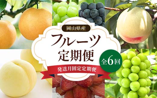 先行予約＜2025年発送> 発送月固定 定期便 岡山県産 フルーツ定期便 全6回 TY0-0434