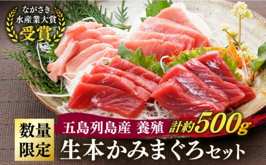 五島列島産 養殖 生本かみマグロ 赤身 中トロ 大トロ 計約500g / マグロ まぐろ 鮪 刺身 ブロック