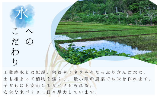 【先行予約】令和6年産 新米 おたる木露ファーム ゆめぴりか 玄米 1合 150g×4袋 計600g