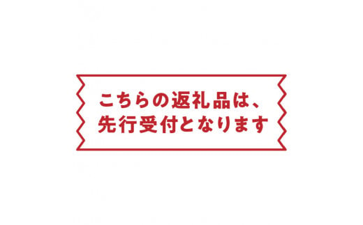 【2025年先行予約】竹マンゴーファーム 大玉パッションフルーツ（12個入り）　C039-002