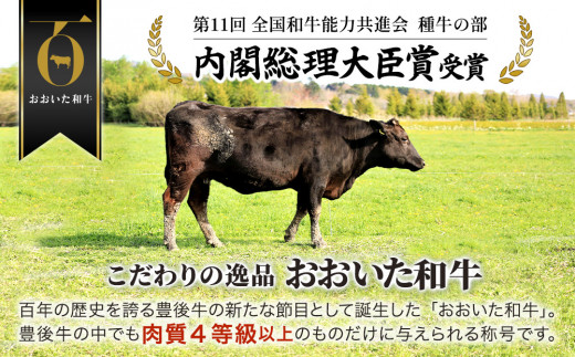 おおいた和牛 もも生ハム 50g×4P 牛肉 黒毛和牛 ブランド牛 黒毛和牛 モモ肉 もも肉 ミートクレスト 大分県産 九州産 津久見市 国産