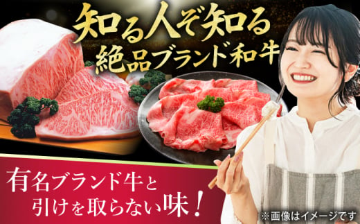 【A4ランク以上！】博多和牛 赤身 モモステーキ 約500g（100g×5） 広川町 / 株式会社MEAT PLUS [AFBO099]