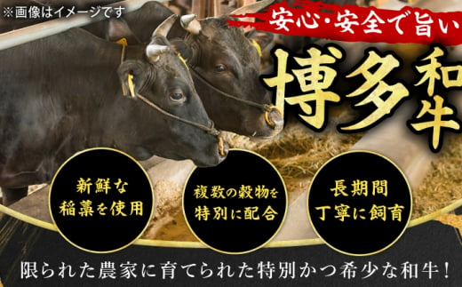 【A4ランク以上！】博多和牛 赤身 モモステーキ 約500g（100g×5） 広川町 / 株式会社MEAT PLUS [AFBO099]