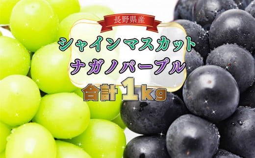 2025年 先行予約 シャインマスカット ＆ ナガノパープル 計1kg 浅間商産 | 果物 フルーツ ぶどう 葡萄 ブドウ シャインマスカット ナガノパープル セット 詰合せ 種無し 種なし 皮ごと 食べやすい 高糖度 信州 特産品 千曲市 長野県 先行予約