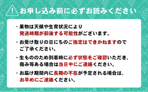 [№5911-0303]ちょっと贅沢な　綾川町いいものフルーツ定期便（年間12回）