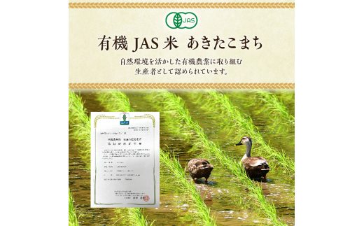 《定期便9ヶ月》【七分米】JAS有機米 きみまちこまち 4kg （2kg×2袋）秋田県産 あきたこまち 令和6年産