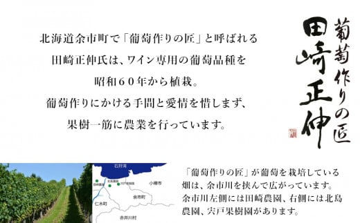 【北海道ワイン】【葡萄作りの匠 田崎正伸】北海道ワイン 2種 飲み比べセット　【余市のワイン】 余市 北海道 白ワイン 2本セット ピノノワールワイン ミュラートゥルガウワイン 北海道のワイン 余市のワイン 日本のワイン 国産ワイン