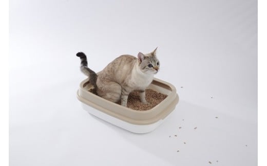 ソローの 固まる 猫砂 猫 トイレ砂 6リットル 6袋 消臭 吸水力 抗菌 ペット用品 天然素材 植物由来 間伐材 低粉塵 エコ 室内飼い (F06-002)