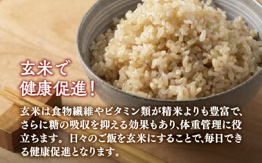 【令和6年産新米 定期配送3ヵ月】ホクレン ゆめぴりか 玄米6kg（3kg×2）【ふるさと納税 人気 おすすめ ランキング 穀物 米 玄米 ゆめぴりか ホクレン おいしい 美味しい 甘い 定期便 北海道 豊浦町 送料無料 】 TYUA046