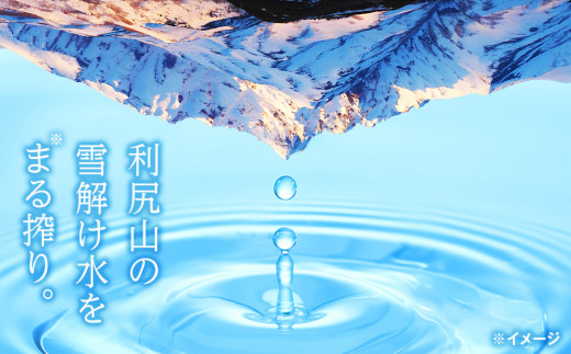 【定期便】天然ケイ素水リシリア(500ml×48本入・2L×6本)×3ヶ月【定期便・頒布会】