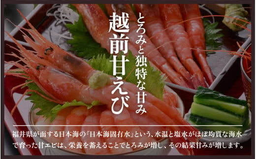 天然！越前甘エビ(卵なし) 中サイズ 500g × 1(約35尾入り)  解凍方法説明書付き 船内凍結 酸化防止剤不使用！甘エビ本来の味をお楽しみください えび エビ 海老 甘エビ 甘えび 人気 海鮮 お刺身 魚介 おせち 無添加 冷凍 福井県産[m17-a057]