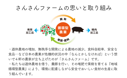 SF06-24C さんさん豚3回お届けコース ／（翌月より3ヶ月）// 長野県産豚肉 南信州 ポーク ステーキ バークシャー種 薄切り 味噌漬け 安全 安心 定期便 毎月届く 贈答 ギフト