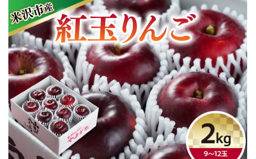 【 令和6年産 】 紅玉 （ りんご ） 2kg 9～12玉 〔 10月中下旬～お届け 〕 2024年産