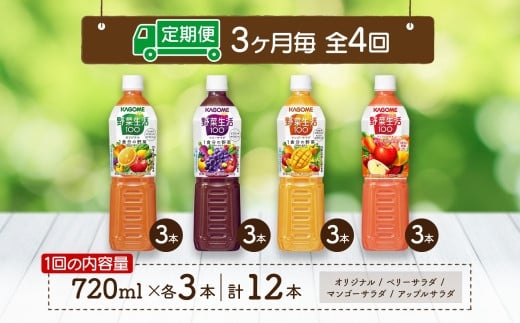 定期便 3ヵ月毎全4回 カゴメ 野菜生活100 飲み比べセット スマートPET 720ml  4種 計12本 オリジナル ベリーサラダ マンゴーサラダ アップルサラダ 野菜 果実 ミックスジュース 野菜ジュース フルーツジュース フルーツ 飲料 KAGOME 送料無料 那須塩原市 ns038-033