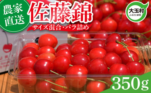 さくらんぼ 佐藤錦 350g 令和7年分 先行予約 バラ詰め サイズ混合（M/L/LL）