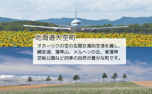 ノーザンロッジカント宿泊補助券20,000円分 【 ふるさと納税 人気 おすすめ ランキング 宿泊補助券 宿 宿泊 旅行 チケット クーポン 観光 北海道 大空町 送料無料 】 OSI002