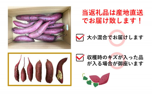 さつまいも 2kg 熊本県産 シルクスイート or 紅はるか  | 高評価 多数 ランキング 入賞 甘藷 蜜いも 秋の味覚 品種お任せ 訳あり 家庭用 サイズ不均一 小さめ キズ スレ 家庭用 期間限定 熊本県産 高糖度 芋 | 用途 焼き芋 鍋 大学いも お菓子