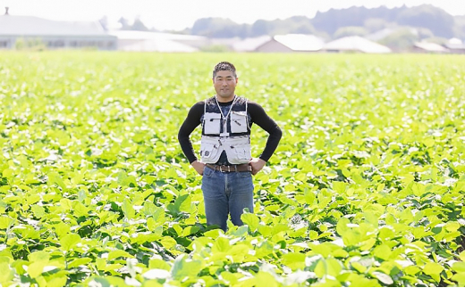 先行予約 茨城県結城市産枝豆「湯あがり娘」2.4kg（300g×8パック）（茶豆味） [№5802-0957]