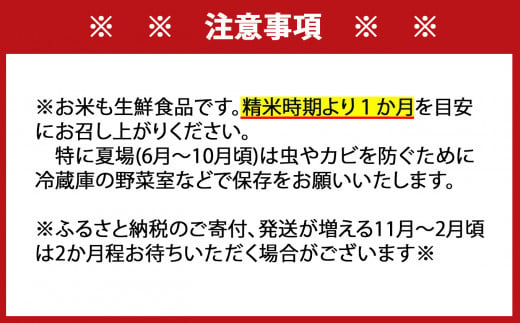 ＜定期便12回＞ 特A評価 さがびより 無洗米 5kg