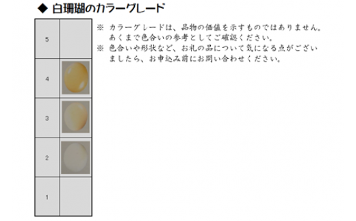 シナ海珊瑚念珠数珠（fju-103）